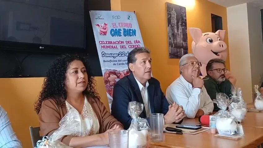WhatsApp Video 2026-03-19 at 15.53.46