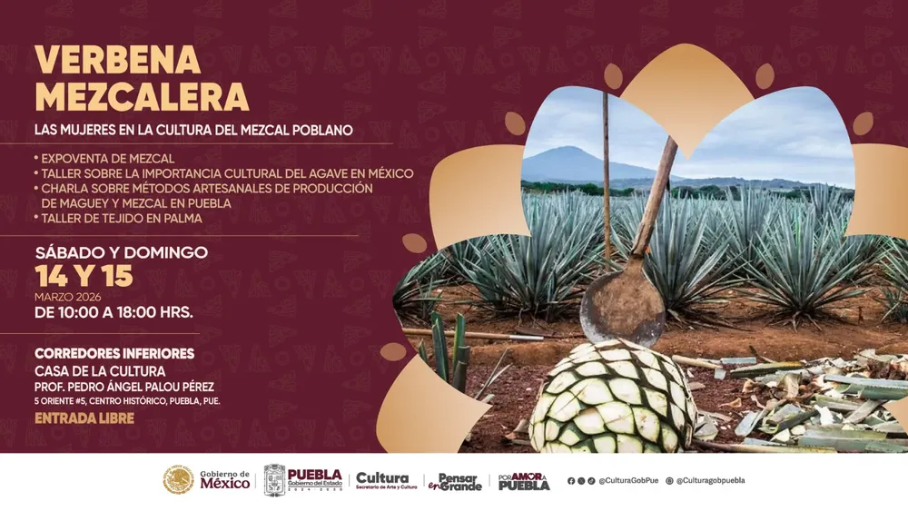 Verbena mezcalera 2