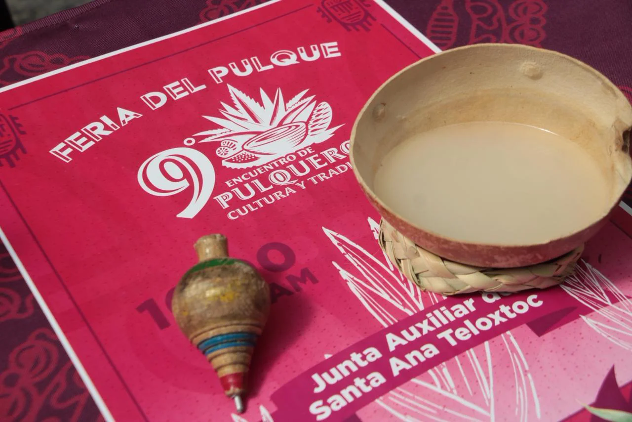 Pulque Tehuacán 6