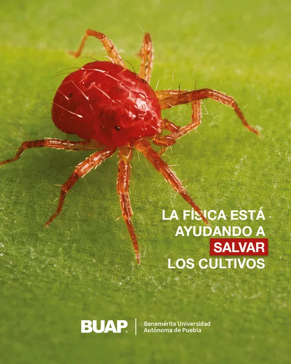 percolación_01_1